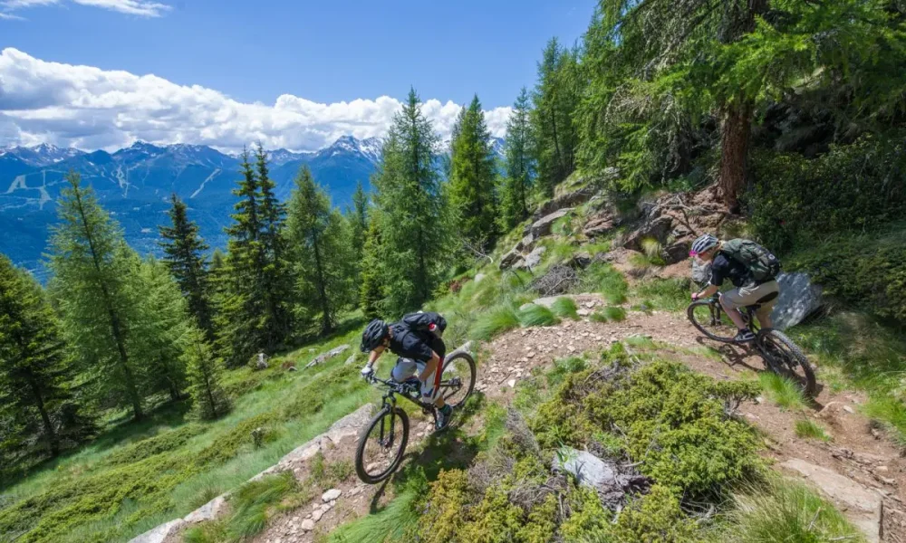 Due ciclisti in mountain bike percorrono un sentiero montano tra alberi e paesaggi alpini.