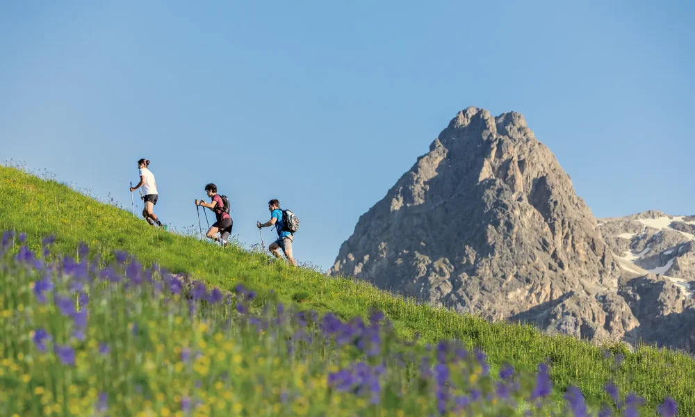 Escursionisti camminano su un pendio verde fiorito con una montagna rocciosa sullo sfondo.